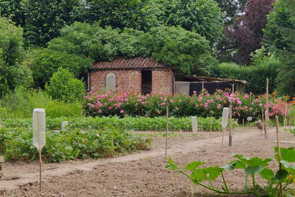 Uw eigen boerderij bij Le Moulin de la Place Hargicourt Buitenkant foto
