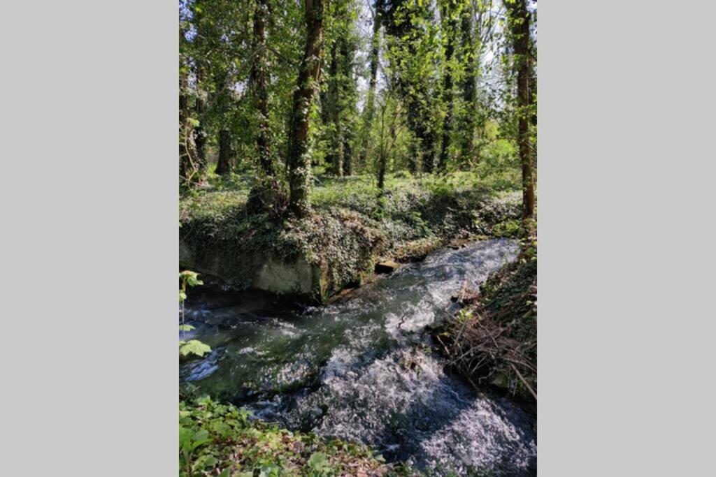 Uw eigen boerderij bij Le Moulin de la Place Hargicourt Buitenkant foto