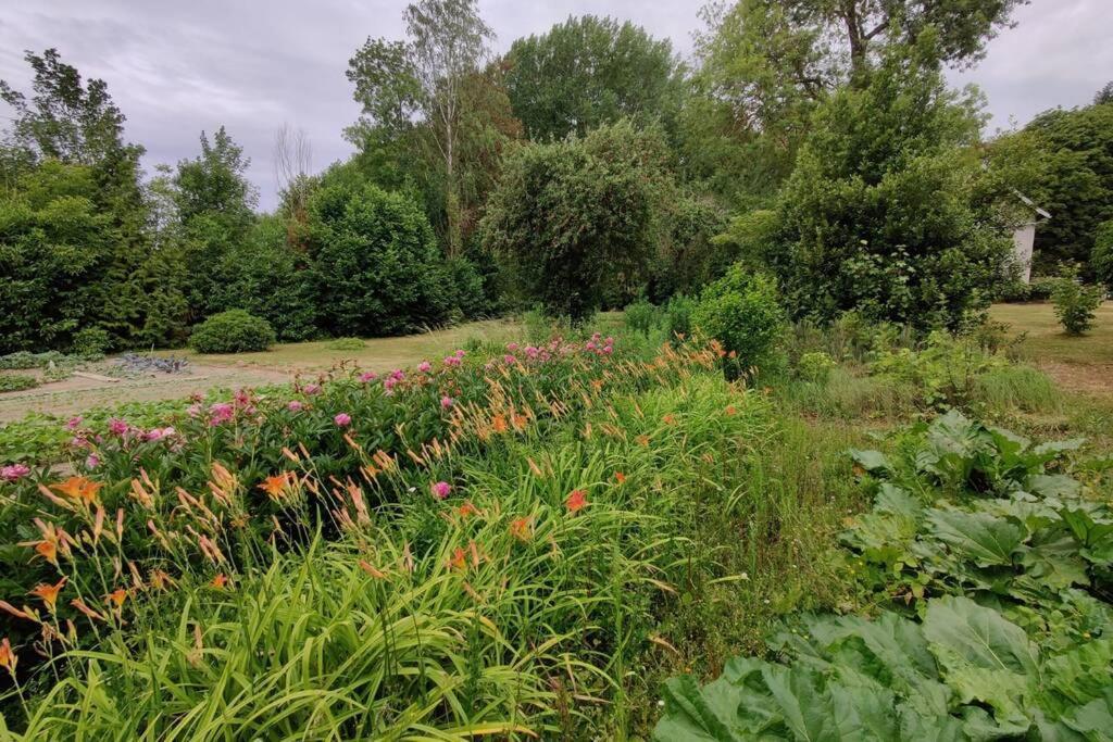 Uw eigen boerderij bij Le Moulin de la Place Hargicourt Buitenkant foto